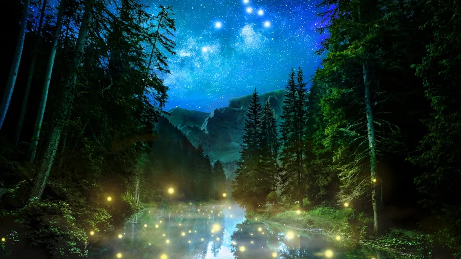 Fantastic night forest night nature abstract