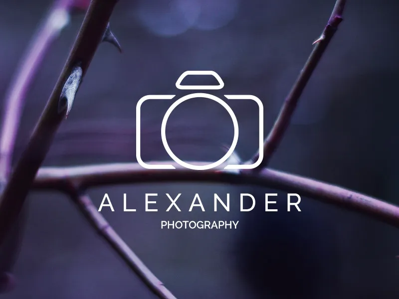 Modern camera logo