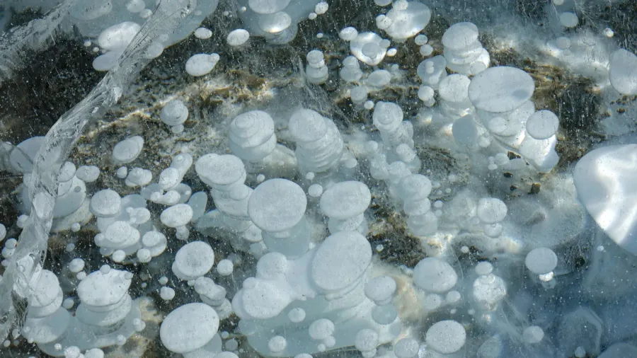 close up cool close up shot of methane bubbles captured