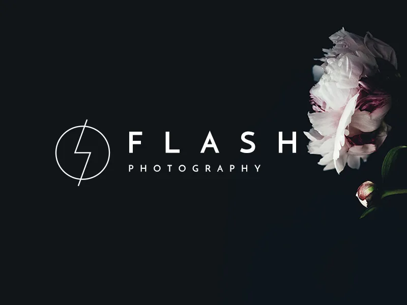Flash logo