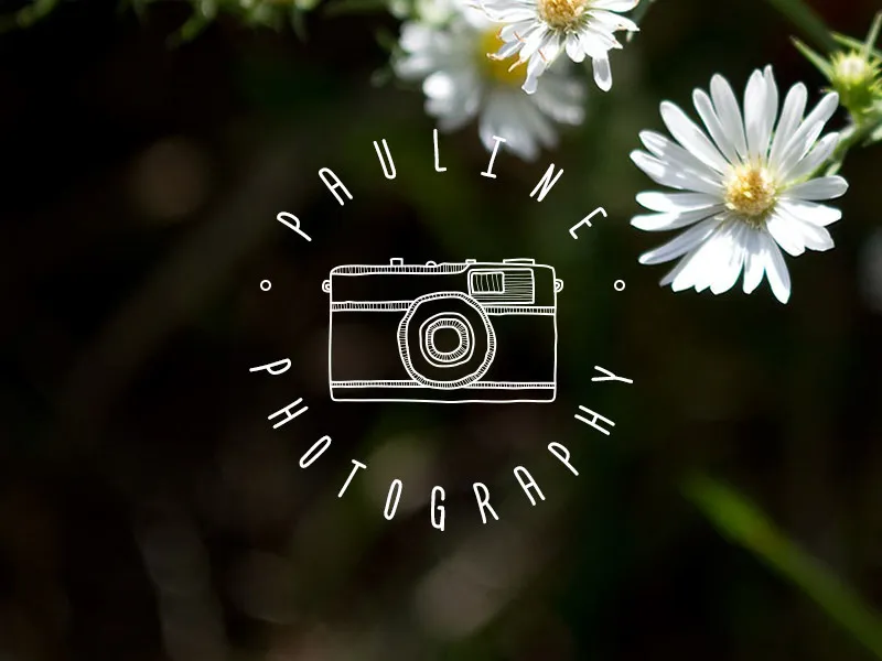 Hand-drawn camera logo