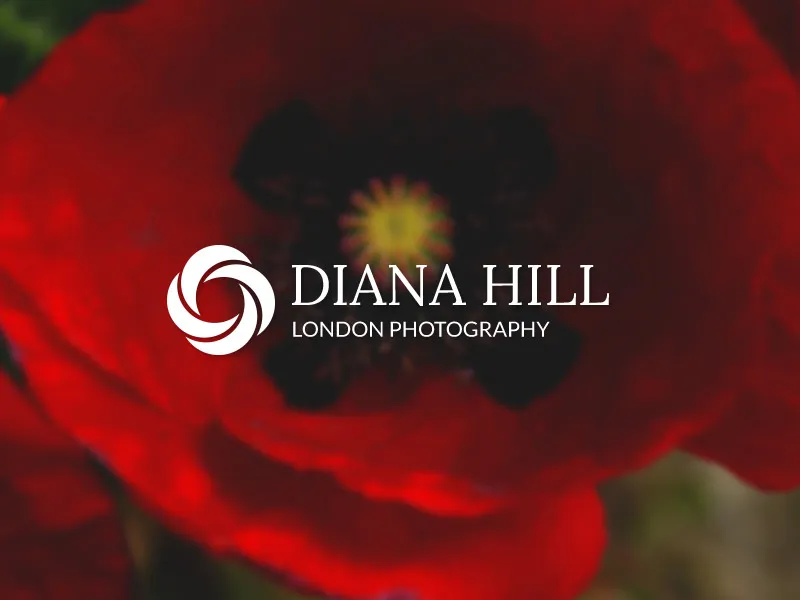 Floral aperture logo