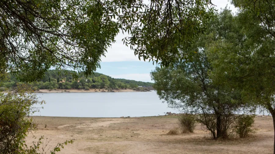 lush greenery frames a tranquil lake with trees providing shade