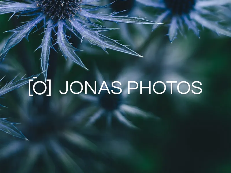 Minimalistic camera logo
