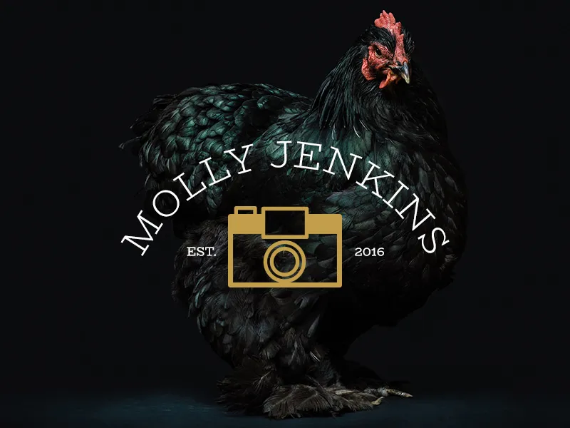 Simple retro camera