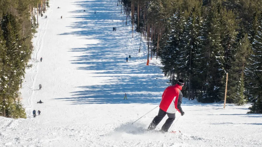 skier going down the slope ski trail for skiing and