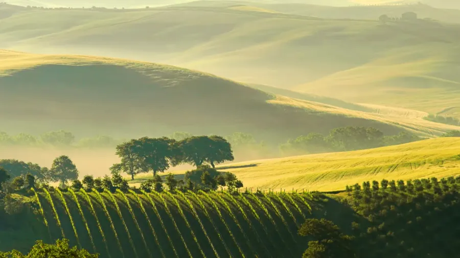 tuscany hills 38