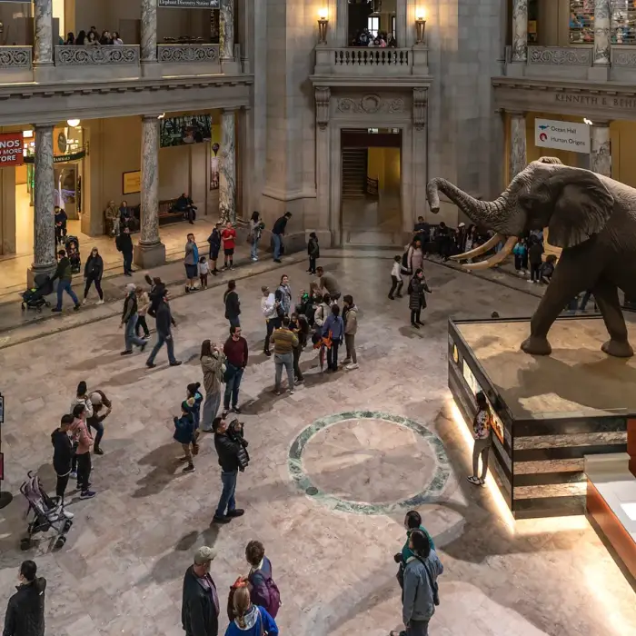 Why Washington, D.C. is becoming more seasonal for leisure travelers